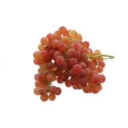*PRODUIT BLOQUE*RAISIN ROSE MOSCATEL SEEDLESS KG